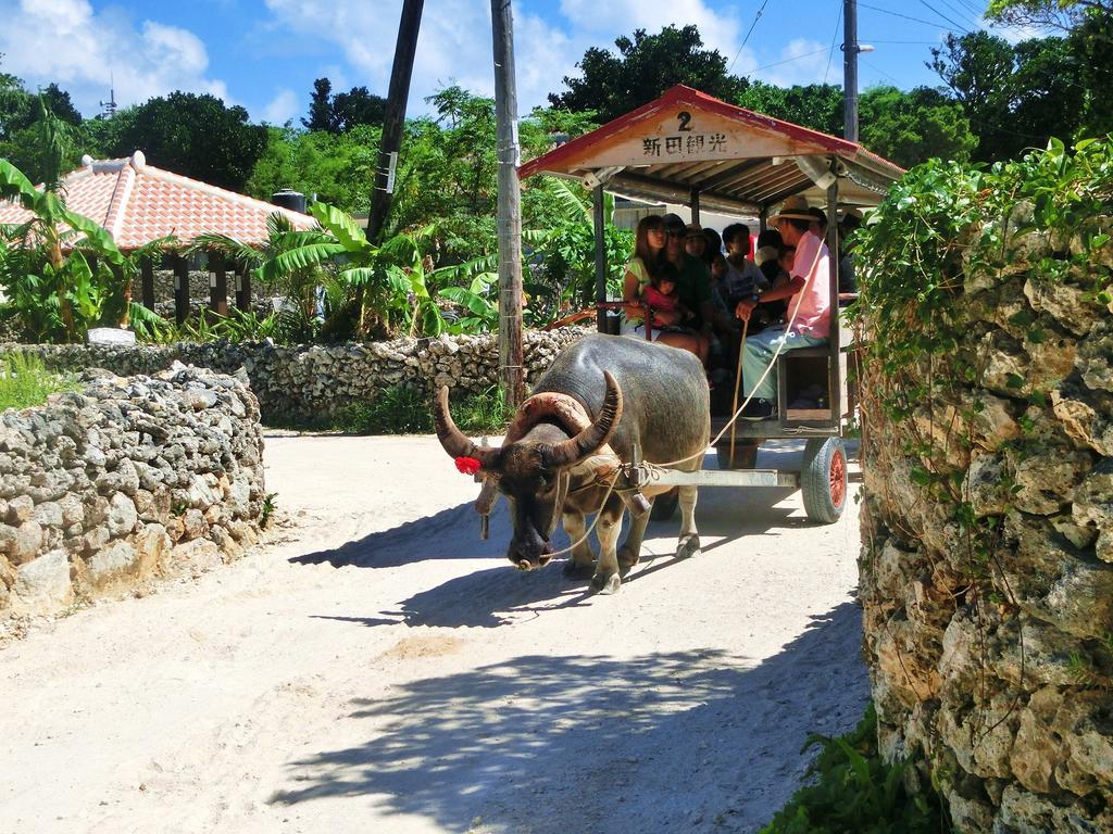Taketomijima Guesthouse And Je Taime Ngoại thất bức ảnh